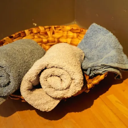 Vechtzicht 3* 비스프